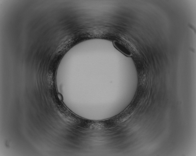 X0000091190599200709061015