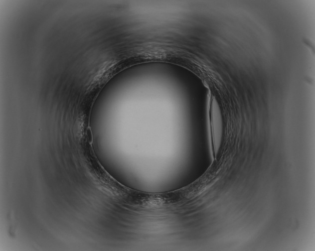 X0000091190600200709061015