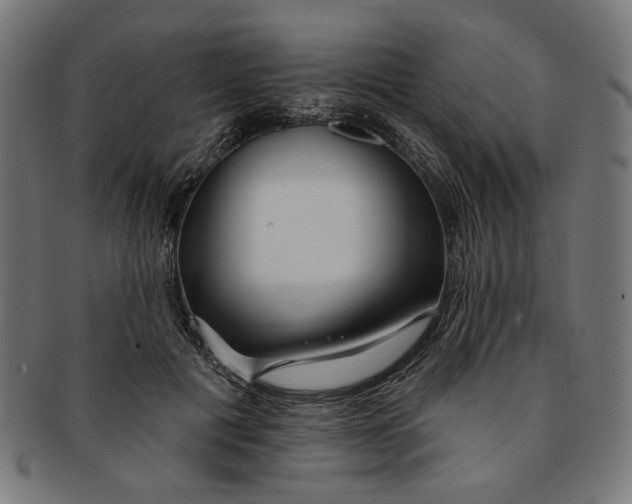 X0000091190601200709061015