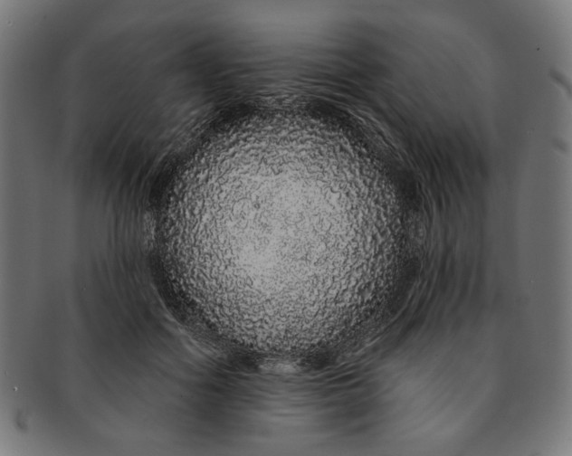 X0000091190602200709061015