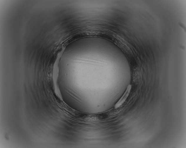 X0000091190604200709061015