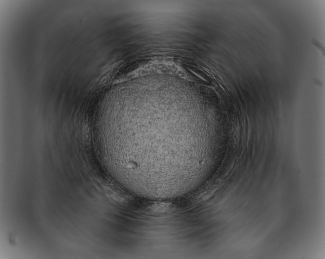 X0000091190609200709061015