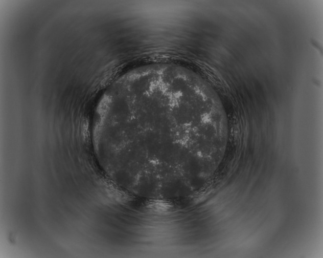 X0000091190610200709061015