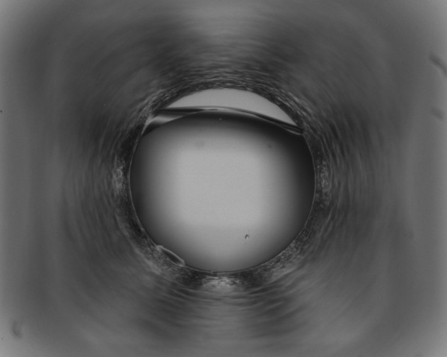 X0000091190611200709061015