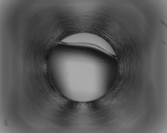 X0000091190613200709061015