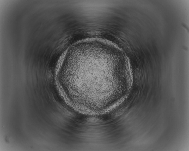 X0000091190614200709061015