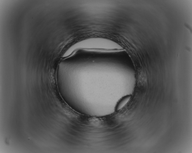 X0000091190616200709061015