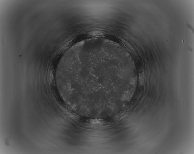 X0000091190618200709061015