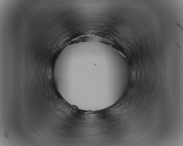 X0000091190620200709061015