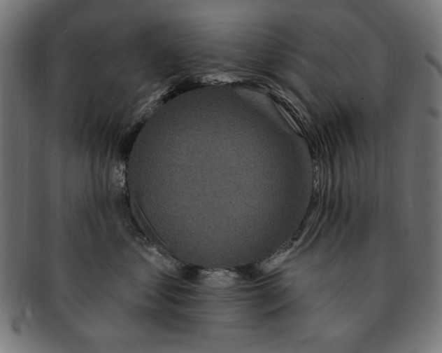 X0000091190621200709061015