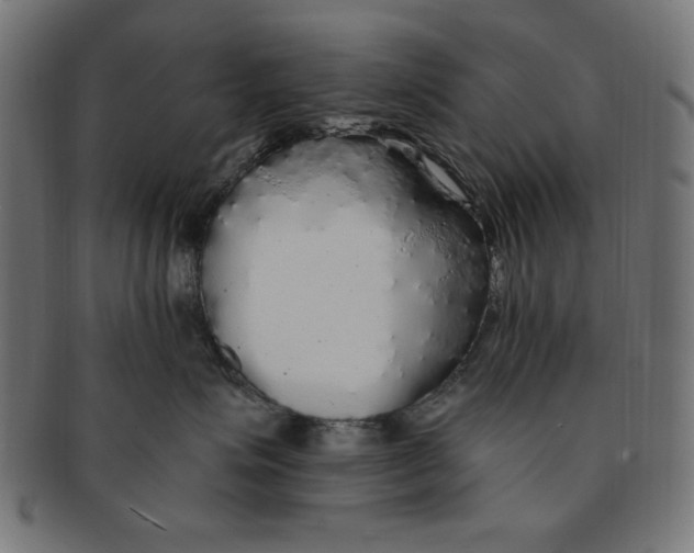 X0000091190623200709061015