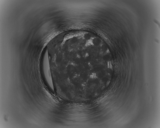 X0000091190626200709061014