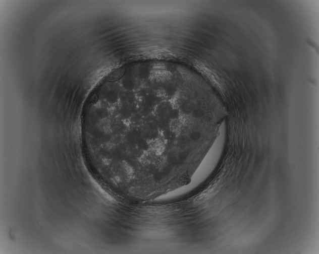 X0000091190630200709061014