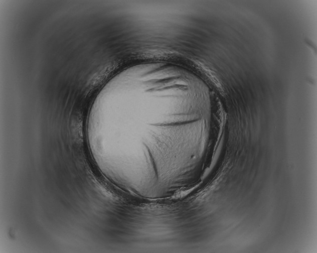 X0000091190633200709061014