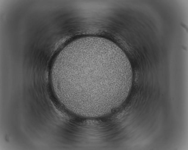 X0000091190636200709061014