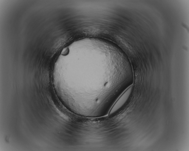 X0000091190638200709061014