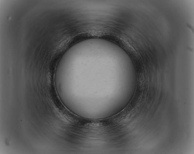 X0000091190639200709061014