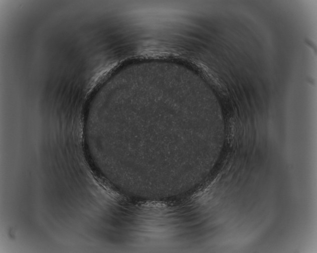 X0000091190640200709061014