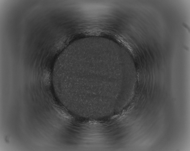 X0000091190641200709061014