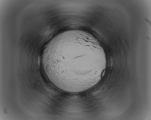 X0000091190646200709061014