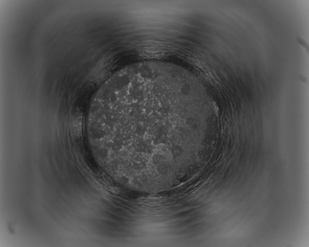 X0000091190647200709061014