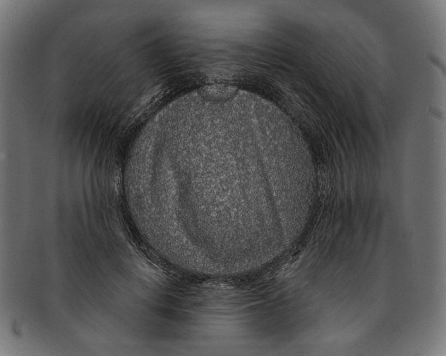 X0000091190648200709061014