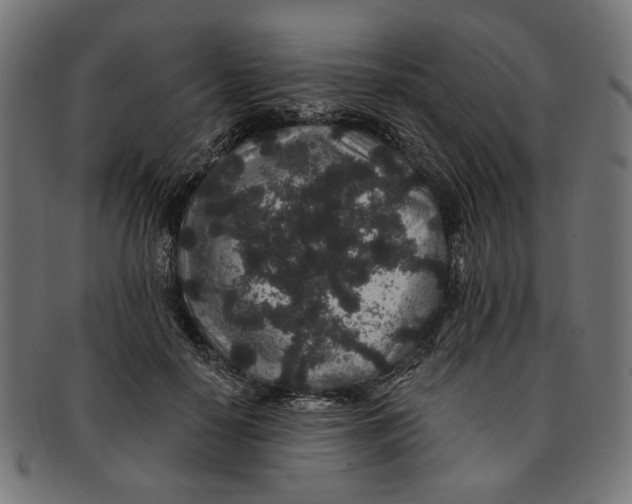 X0000091190650200709061014