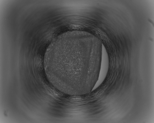 X0000091190653200709061014