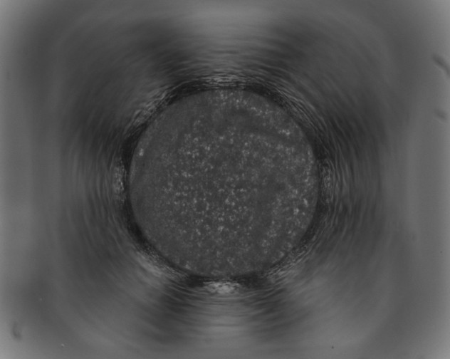 X0000091190654200709061015