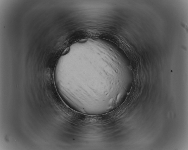 X0000091190655200709061015