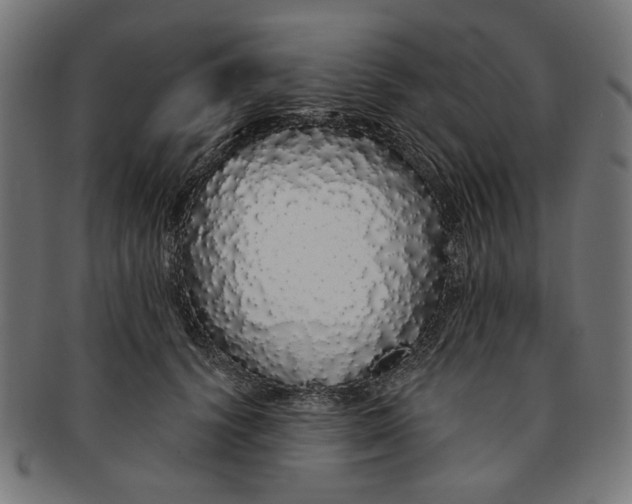 X0000091190656200709061015