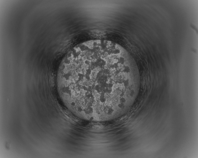 X0000091190658200709061015