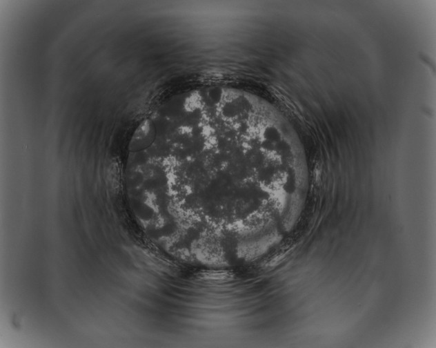 X0000091190659200709061015