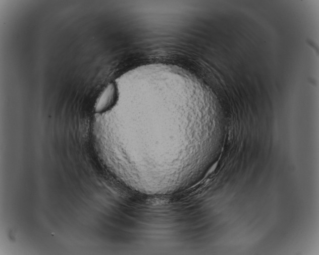 X0000091190660200709061015