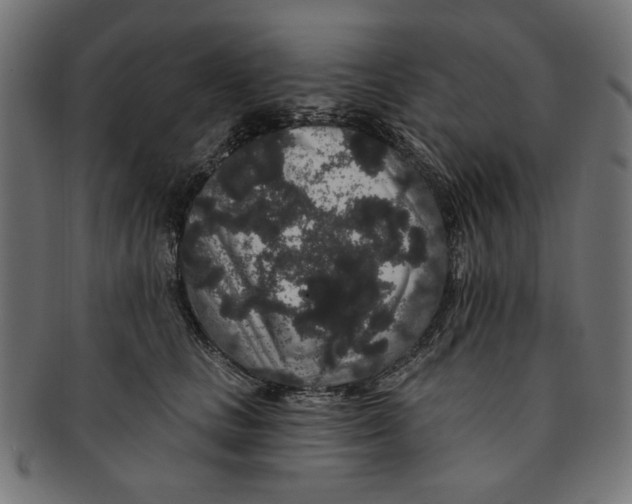 X0000091190661200709061015