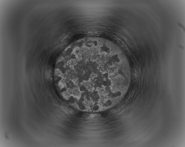 X0000091190663200709061015