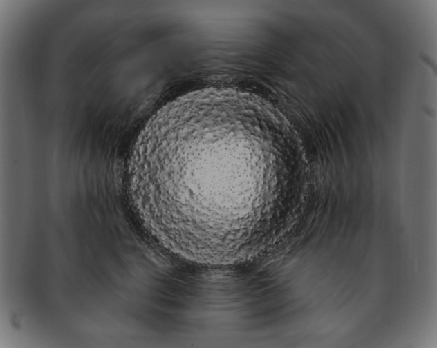 X0000091190664200709061015