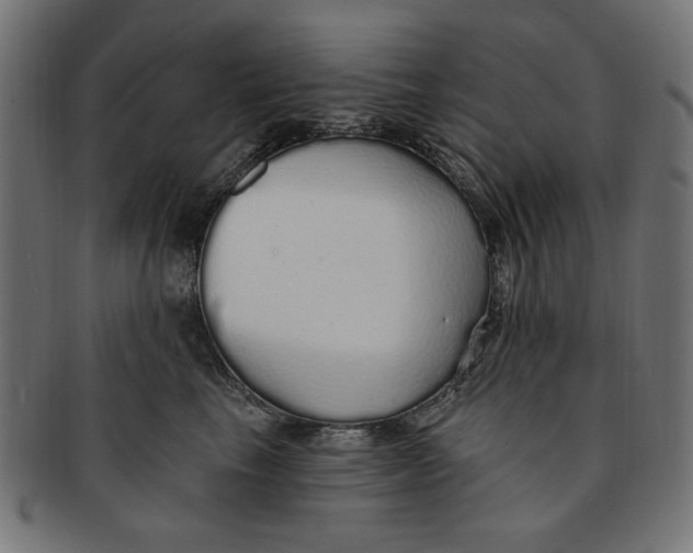 X0000091190665200709061015