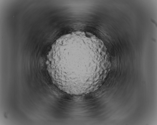 X0000091190667200709061015