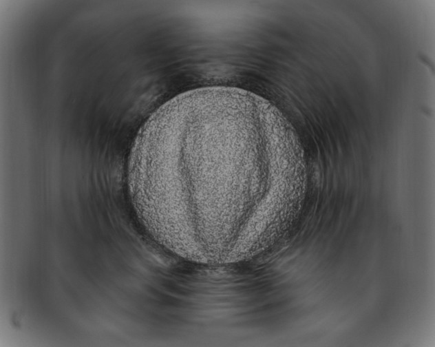 X0000091190668200709061015