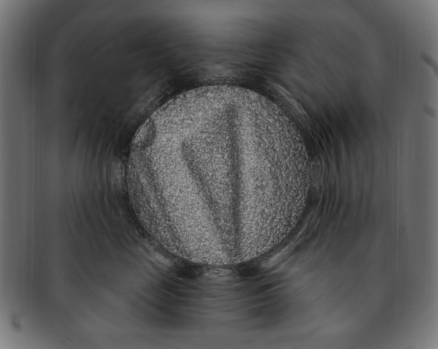 X0000091190669200709061015