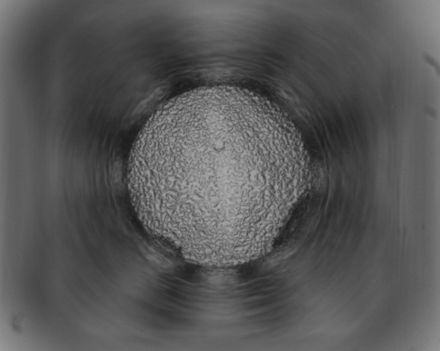 X0000091190670200709061015