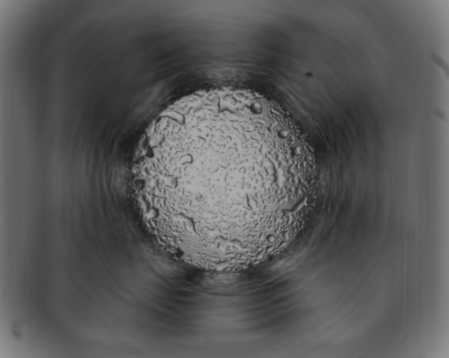 X0000091190671200709061015