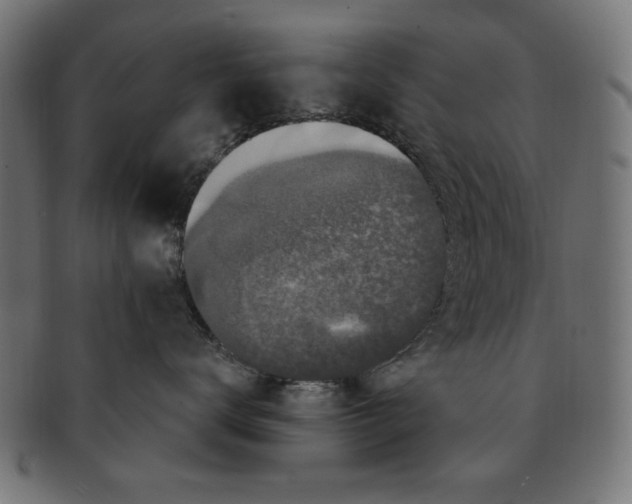 X0000091190672200709061015