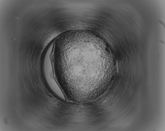 X0000091190675200709061014