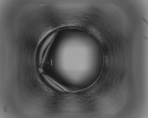 X0000091190676200709061014