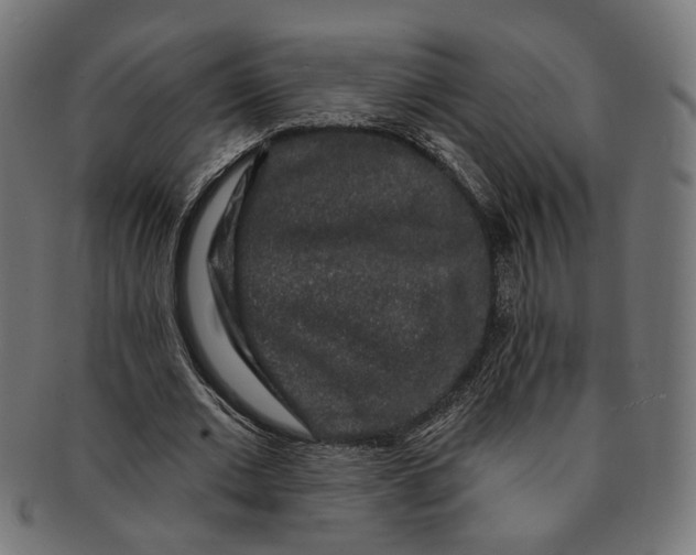 X0000091190677200709061014