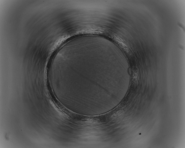 X0000091190678200709061014