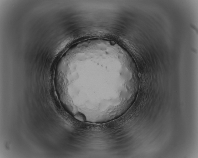 X0000091190679200709061014