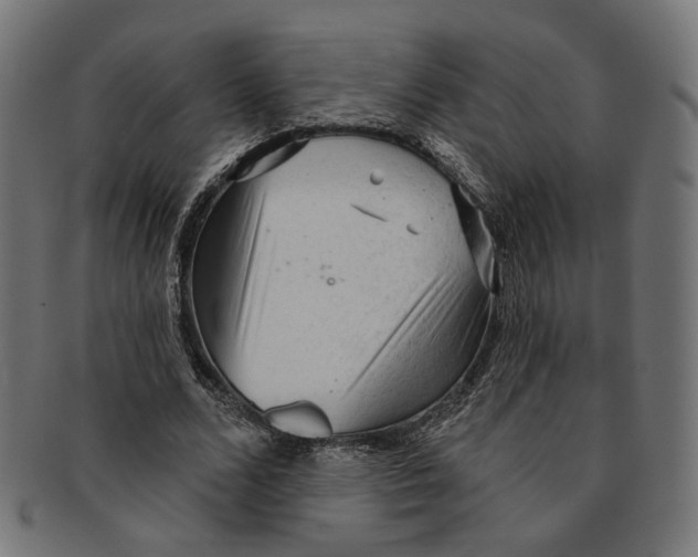 X0000091190680200709061014